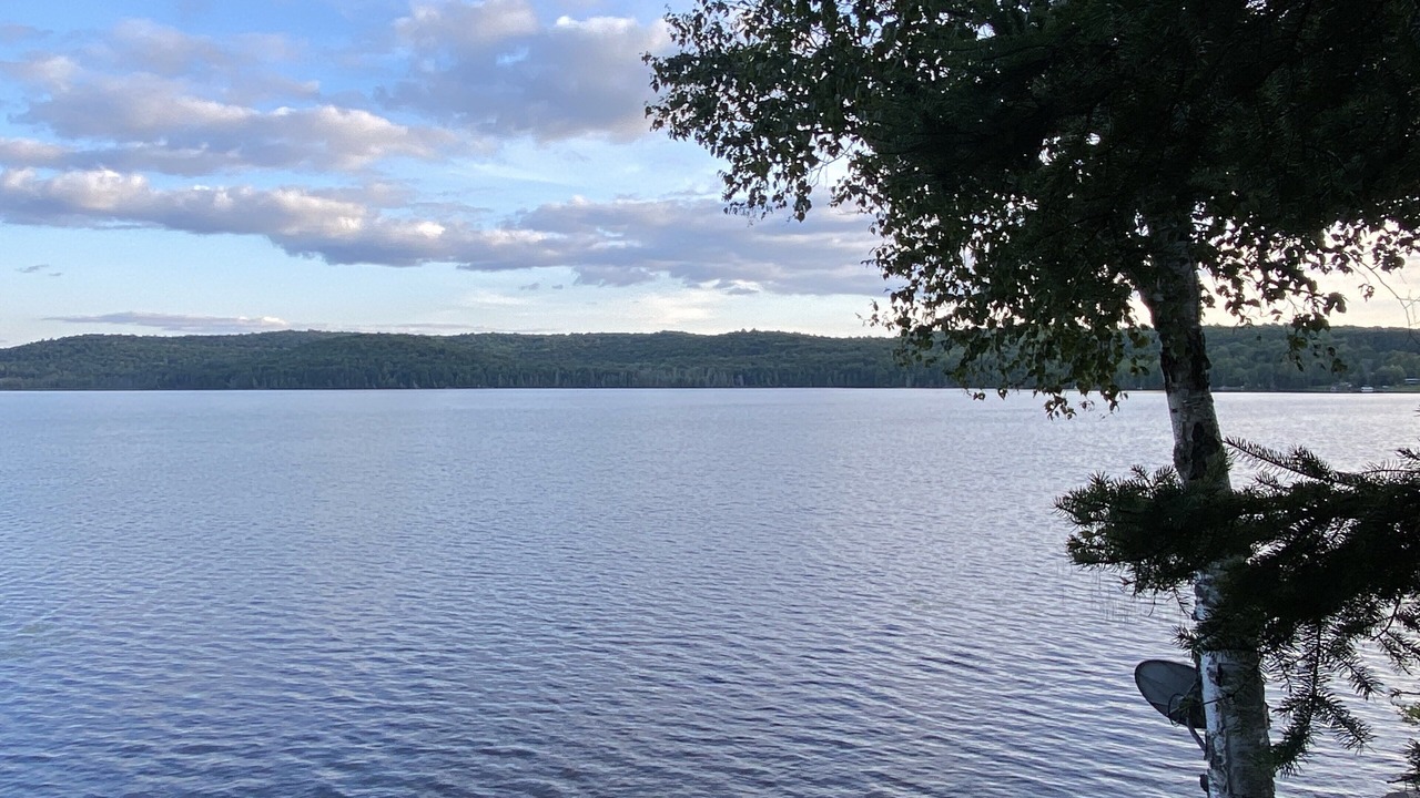 Photo of Outdoor in Novar