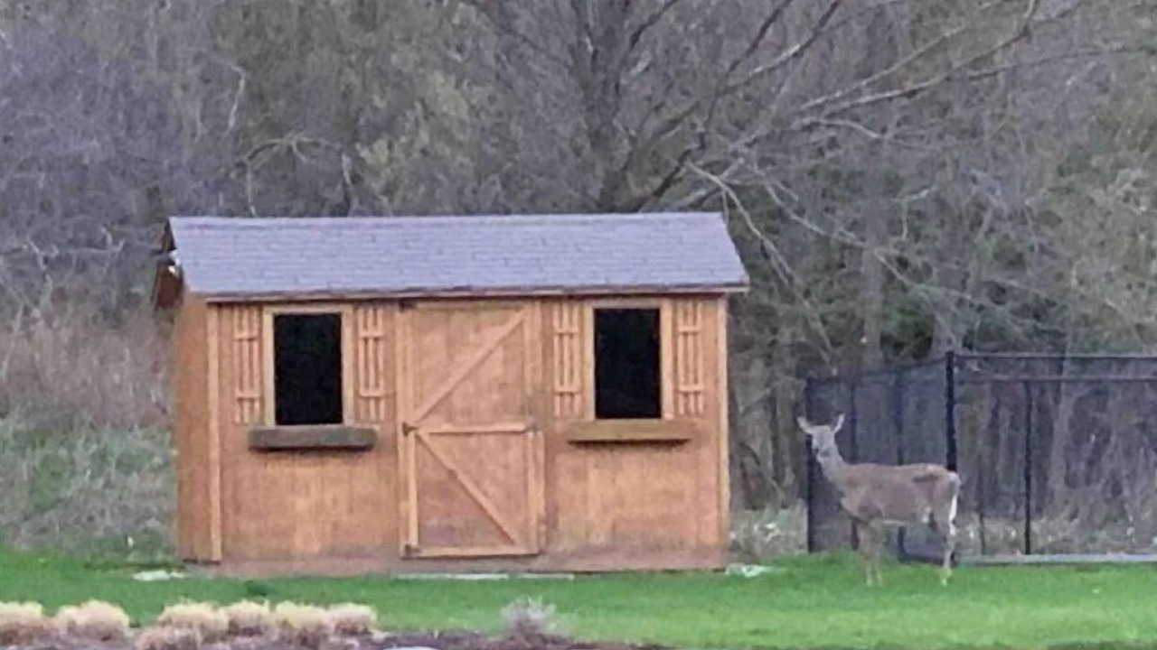 Photo of Outdoor in Mulmur
