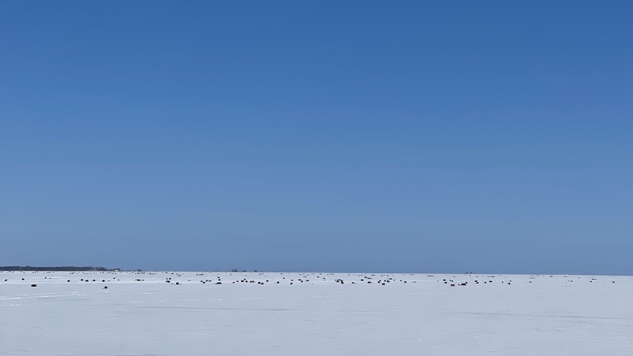 Photo of Others in Long Point