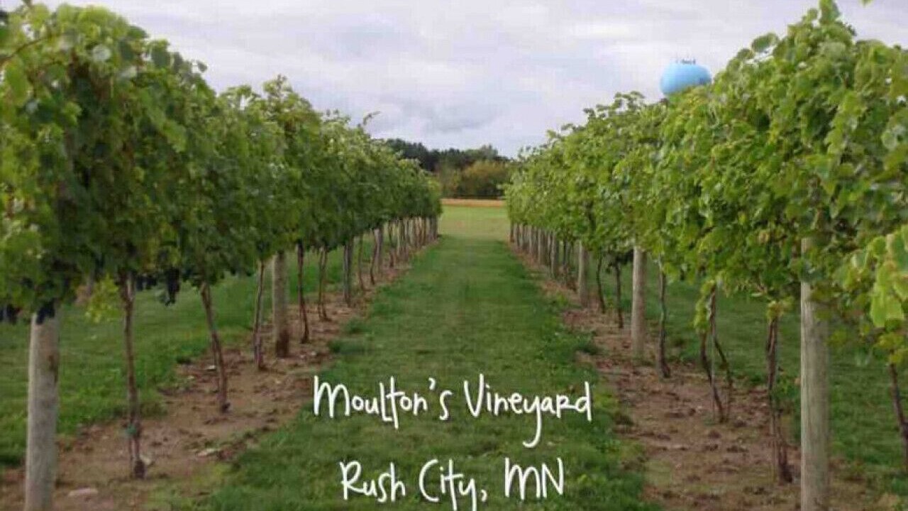 Photo of Outdoor in Rush City