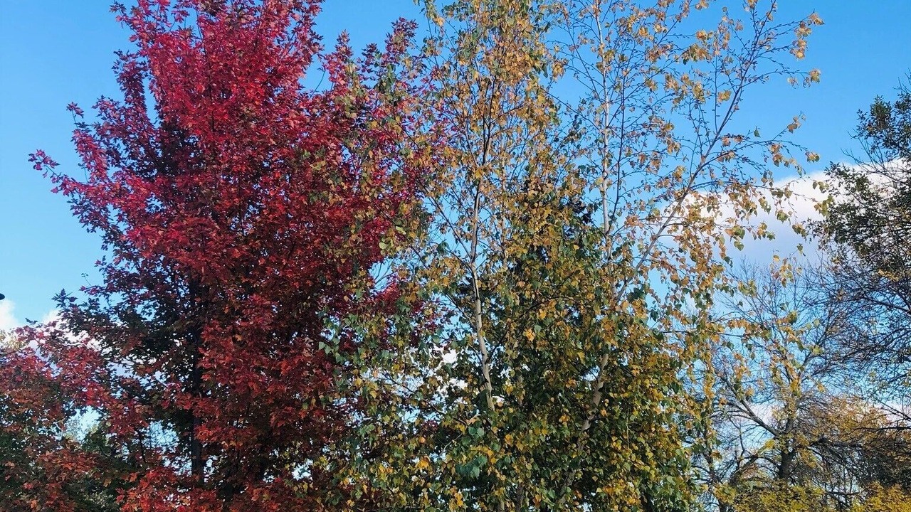 Photo of Outdoor in Onamia