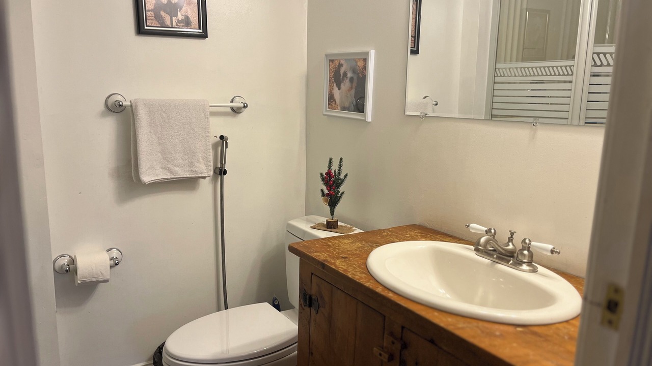 Photo of Bathroom in Brampton
