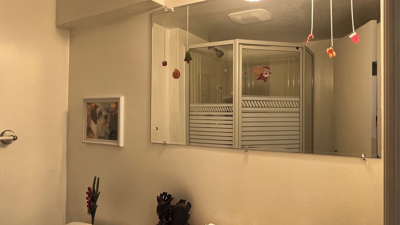 Photo of Bathroom in Brampton