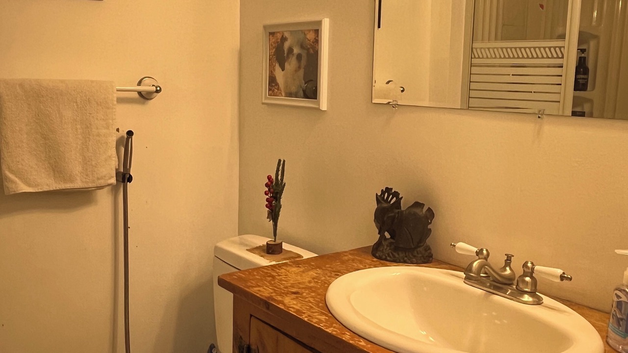 Photo of Bathroom in Brampton