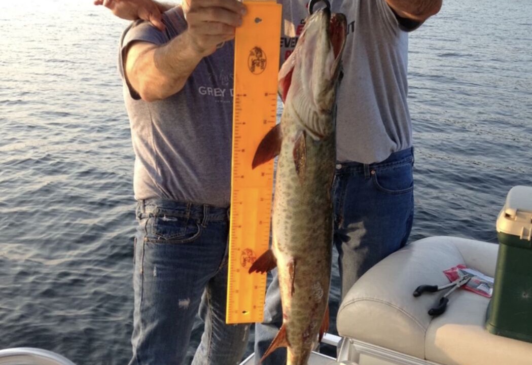 Photo of Others in Havelock-Belmont-Methuen