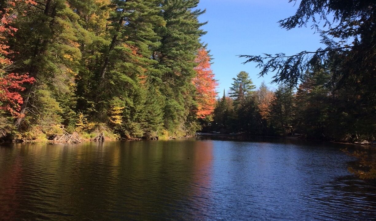 Photo of Others in Bracebridge