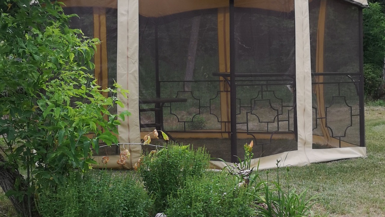 Photo of Outdoor in Central Frontenac