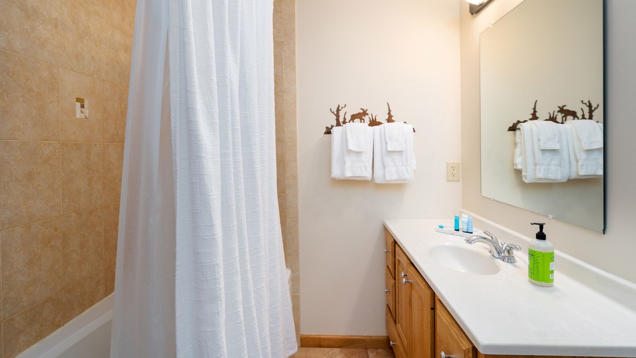 Photo of Bathroom in Biwabik