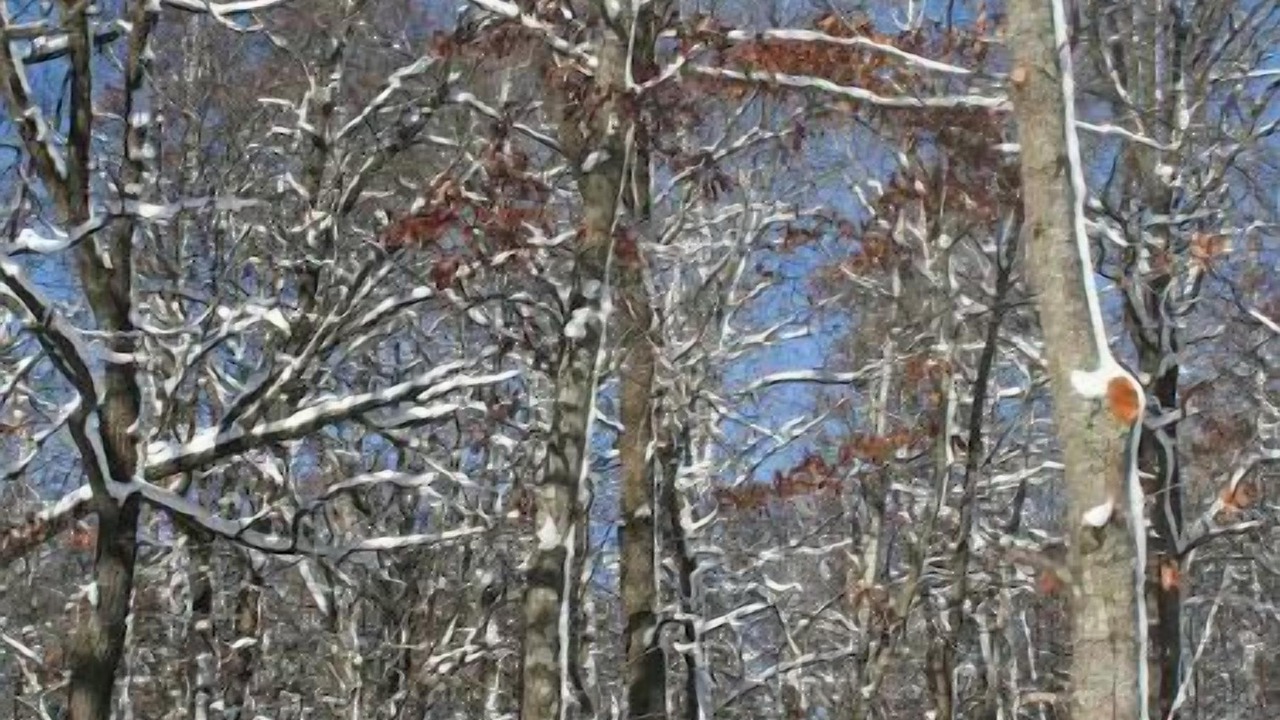 Photo of Outdoor in Menahga