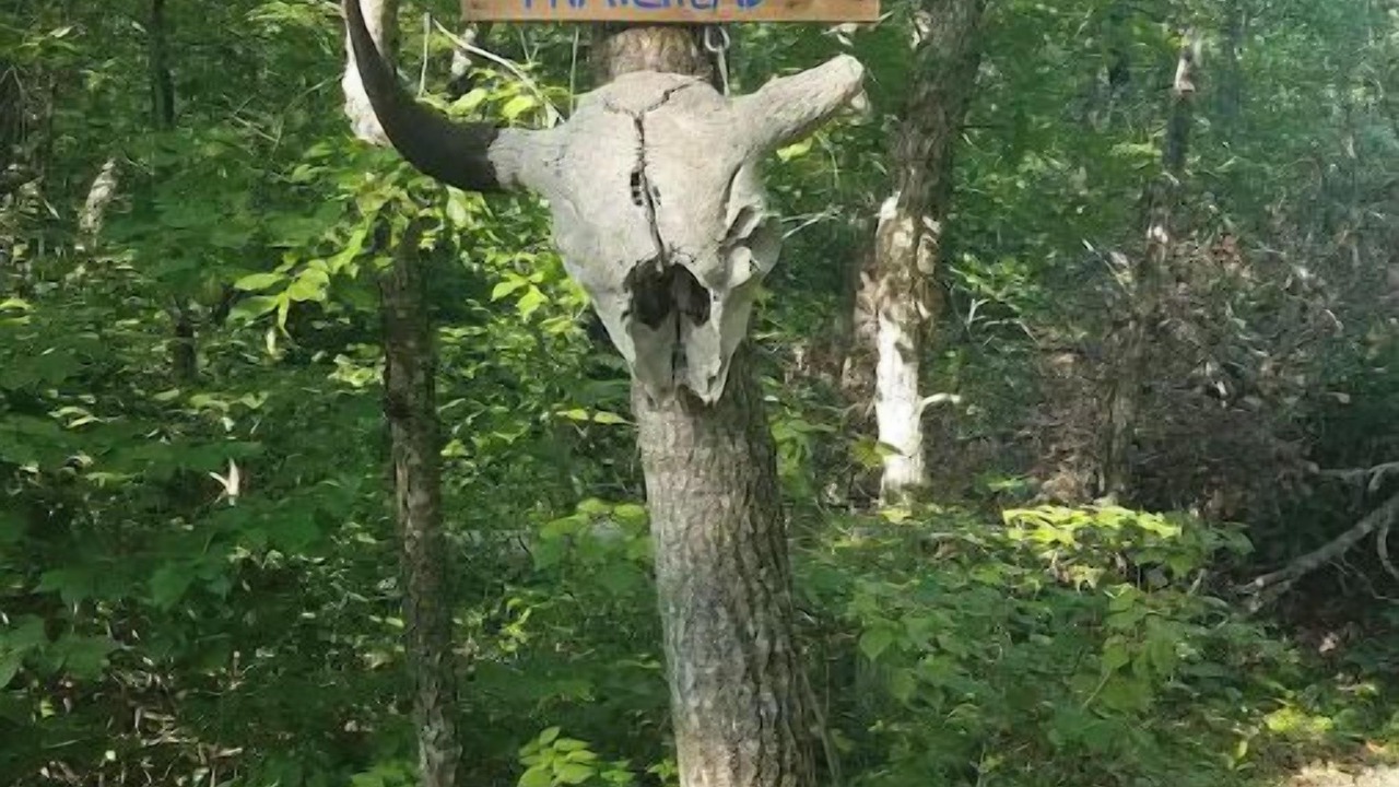 Photo of Outdoor in Menahga
