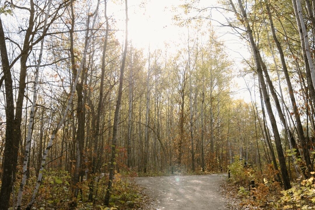Photo of Others in Rice Township