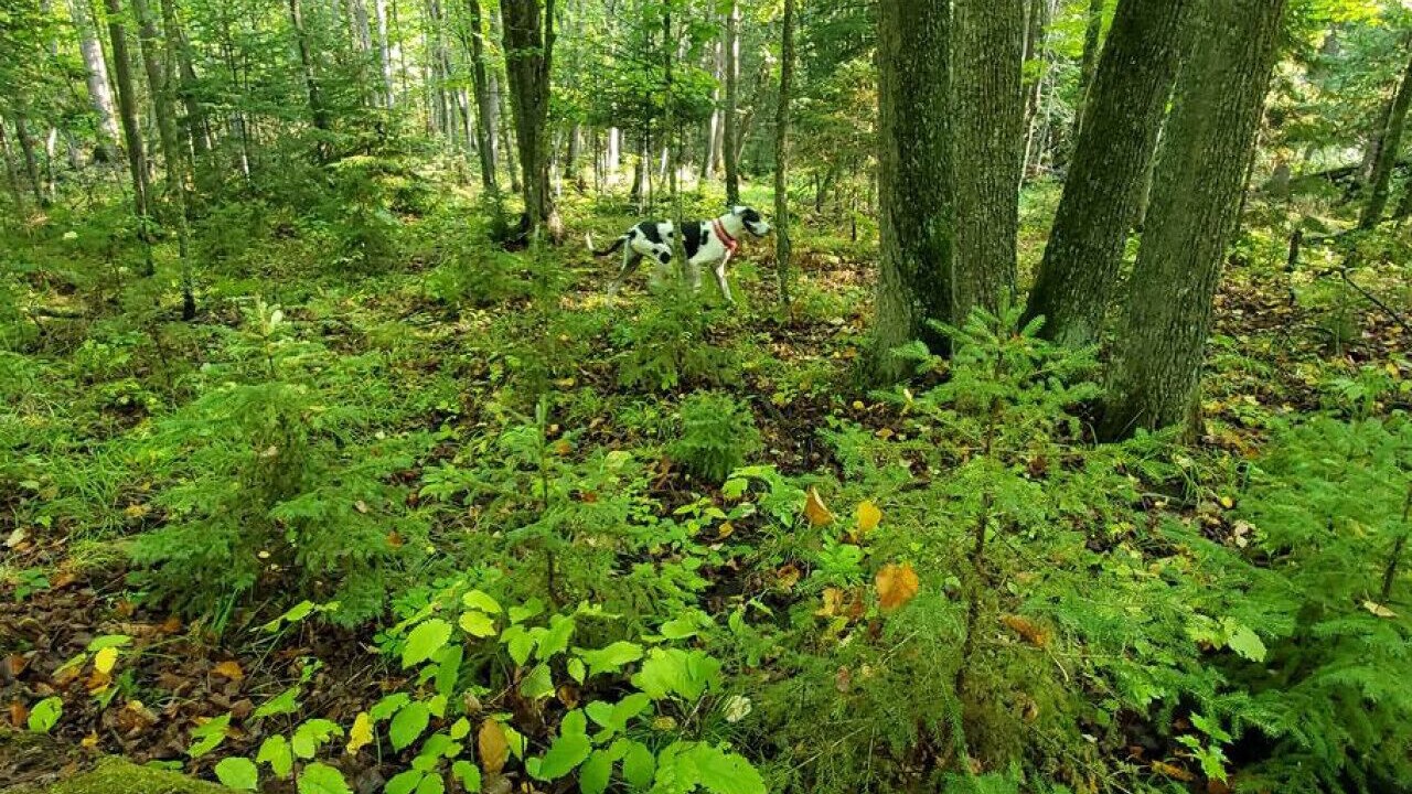 Photo of Others in Brook Park