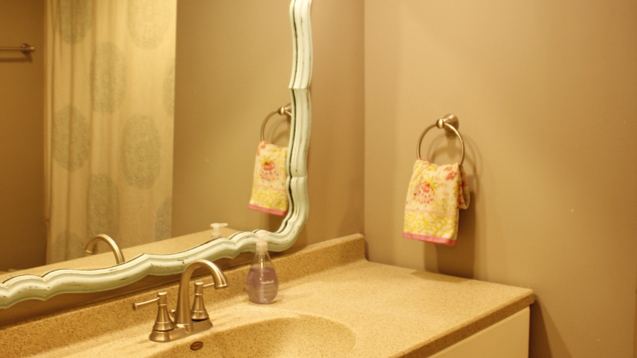 Photo of Bathroom in Annandale