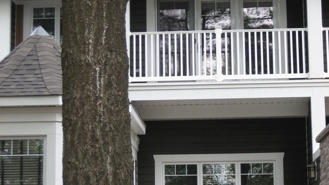 Photo of Patio Balcony in Baysville