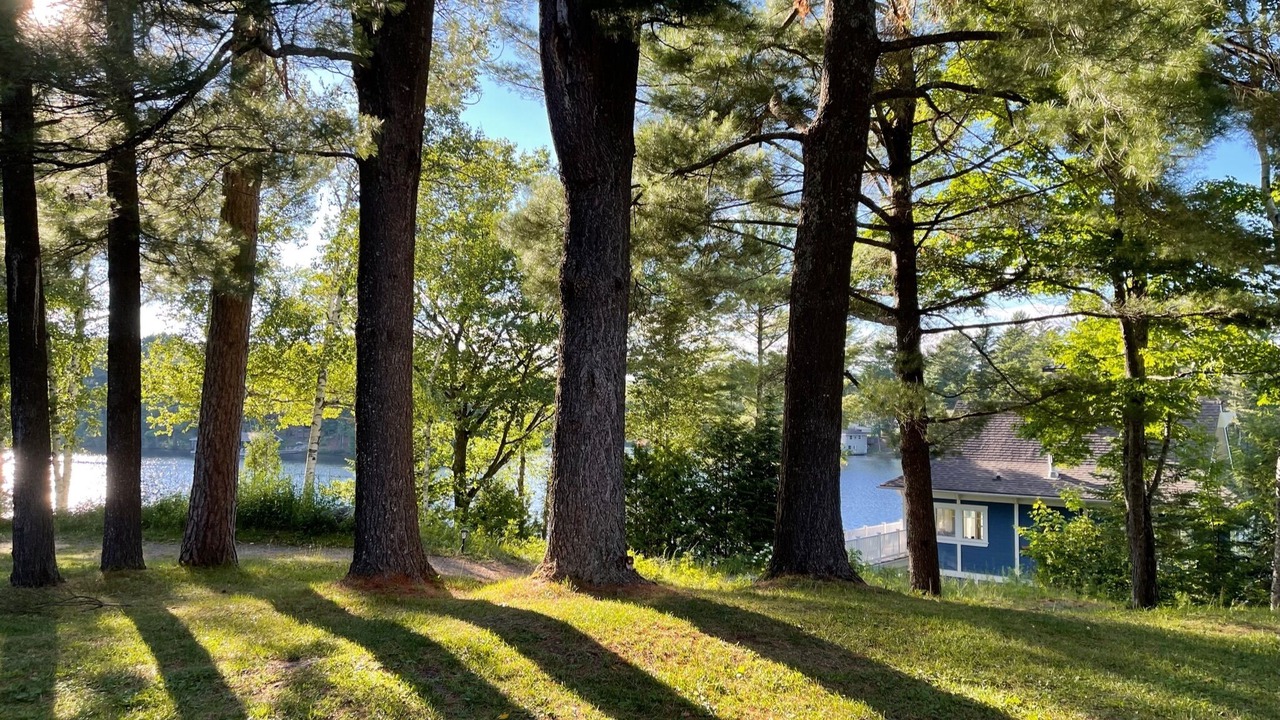 Photo of Outdoor in Baysville