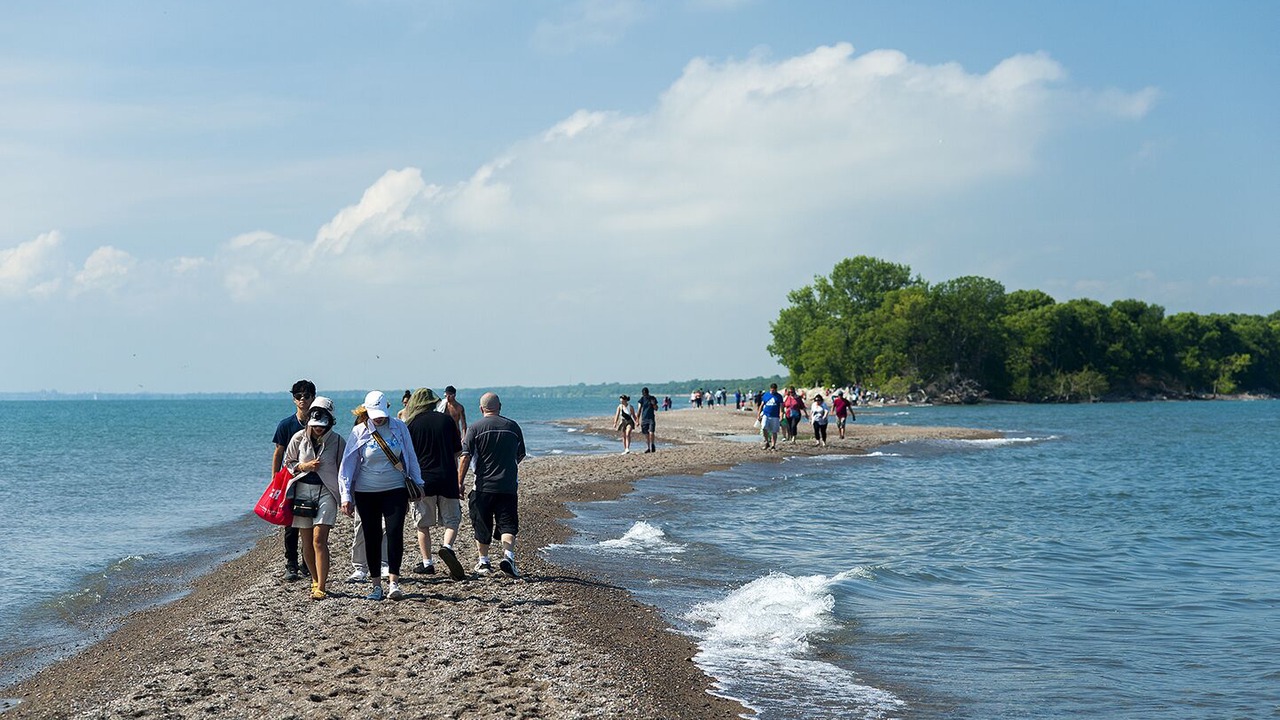 Photo of Others in Kingsville