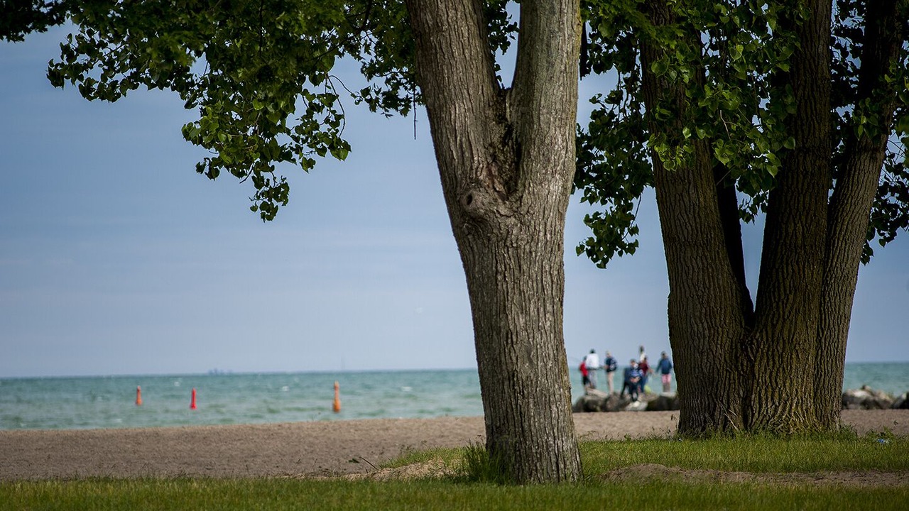 Photo of Others in Kingsville