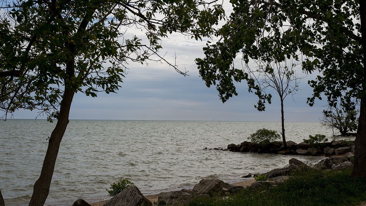Photo of Others in Kingsville