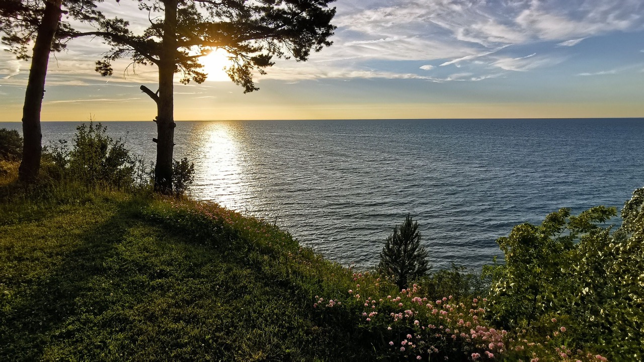 Photo of Others in Plympton-Wyoming