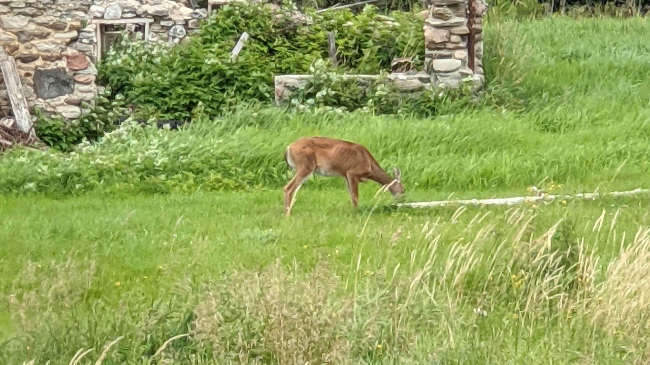 Photo of Outdoor in Baddow
