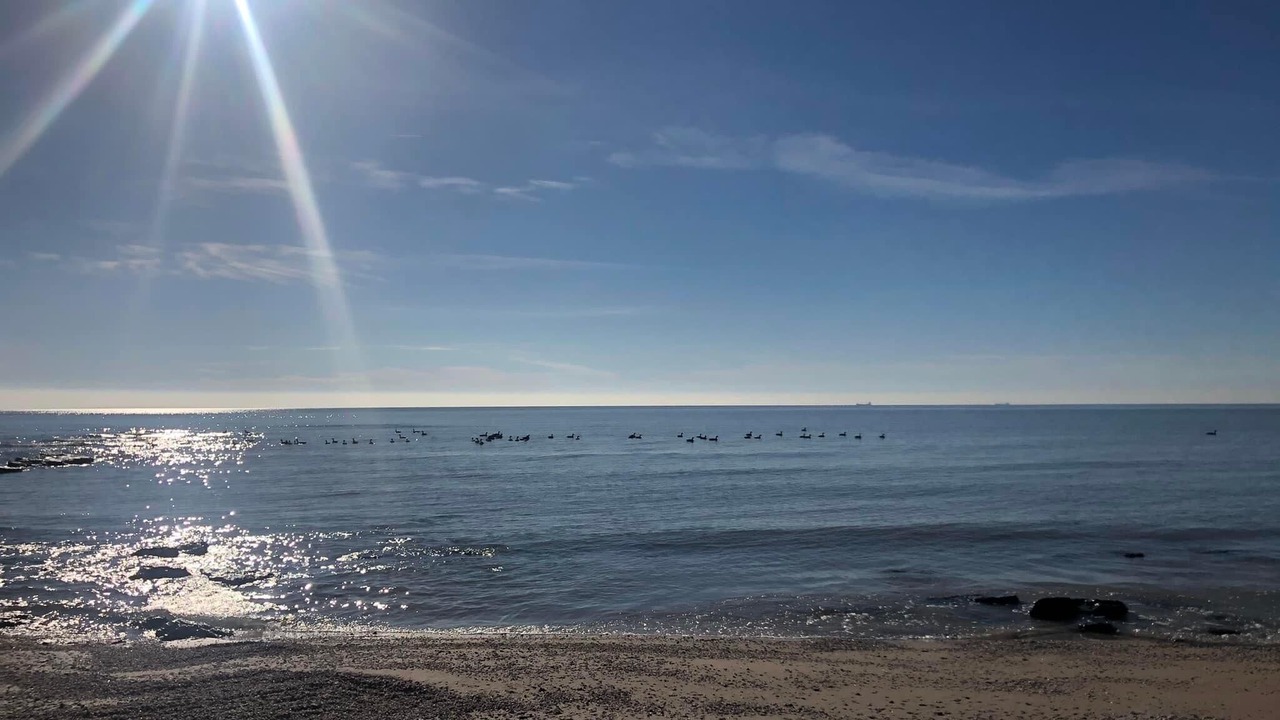 Photo of Others in Port Colborne