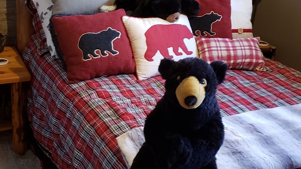 Photo of Bedroom in Farwell