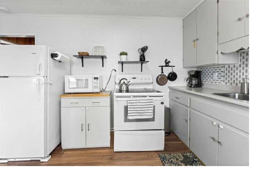 Photo of Kitchen in Roseneath
