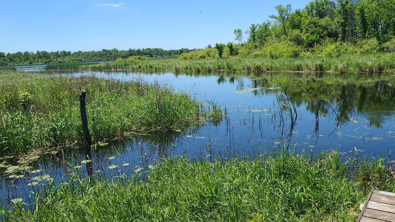 Photo of Outdoor in Ottertail