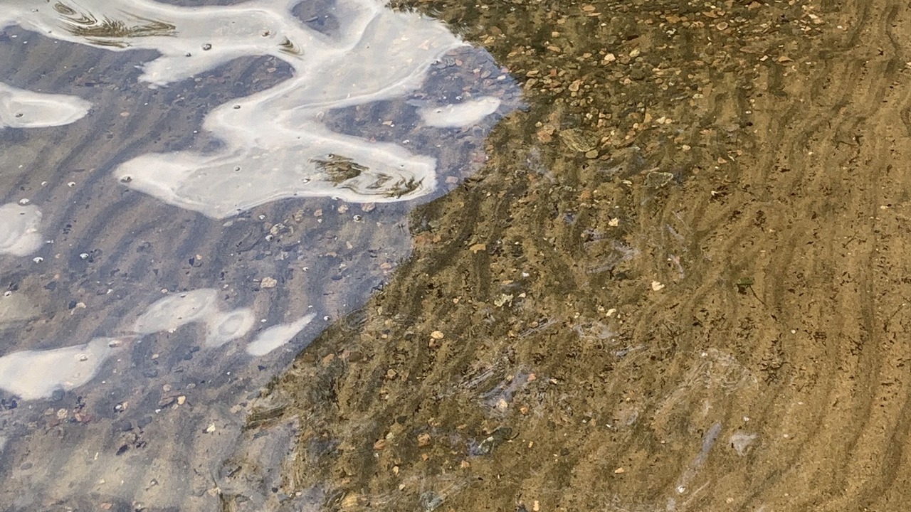 Photo of Others in Eagle Lake