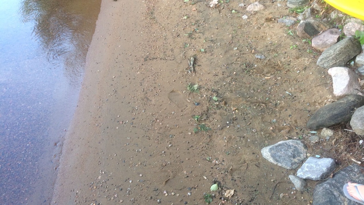 Photo of Others in Eagle Lake