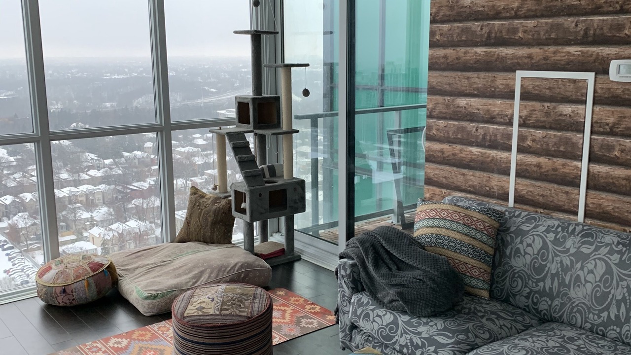 Photo of Livingroom in North York