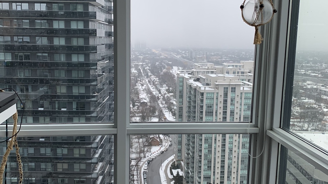 Photo of Others in North York