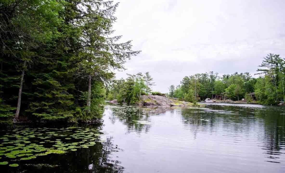 Photo of Outdoor in Trent Lakes