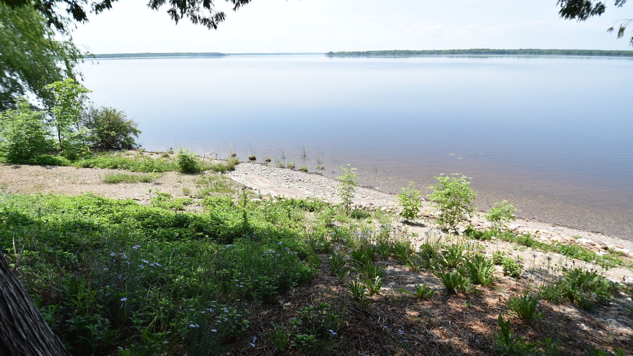 Photo of Others in Whitewater Region
