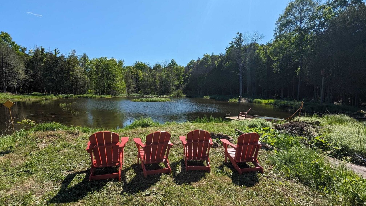 Photo of Outdoor in Central Frontenac