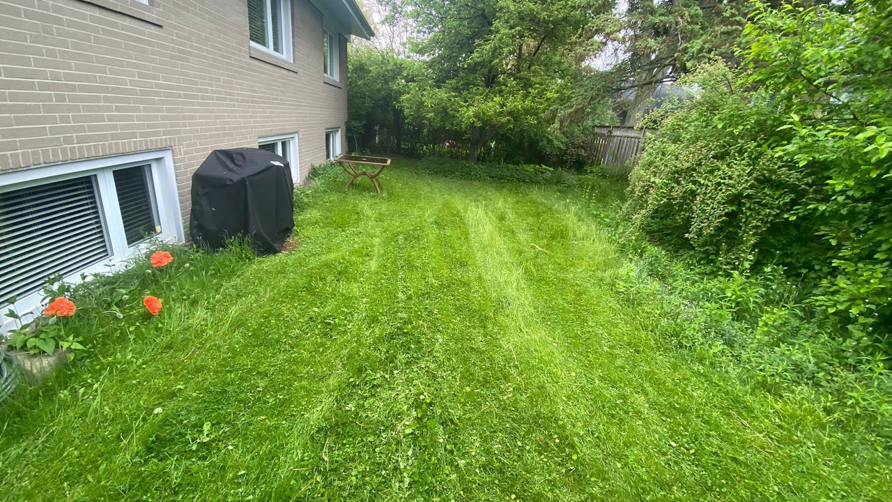 Photo of Outdoor in North York