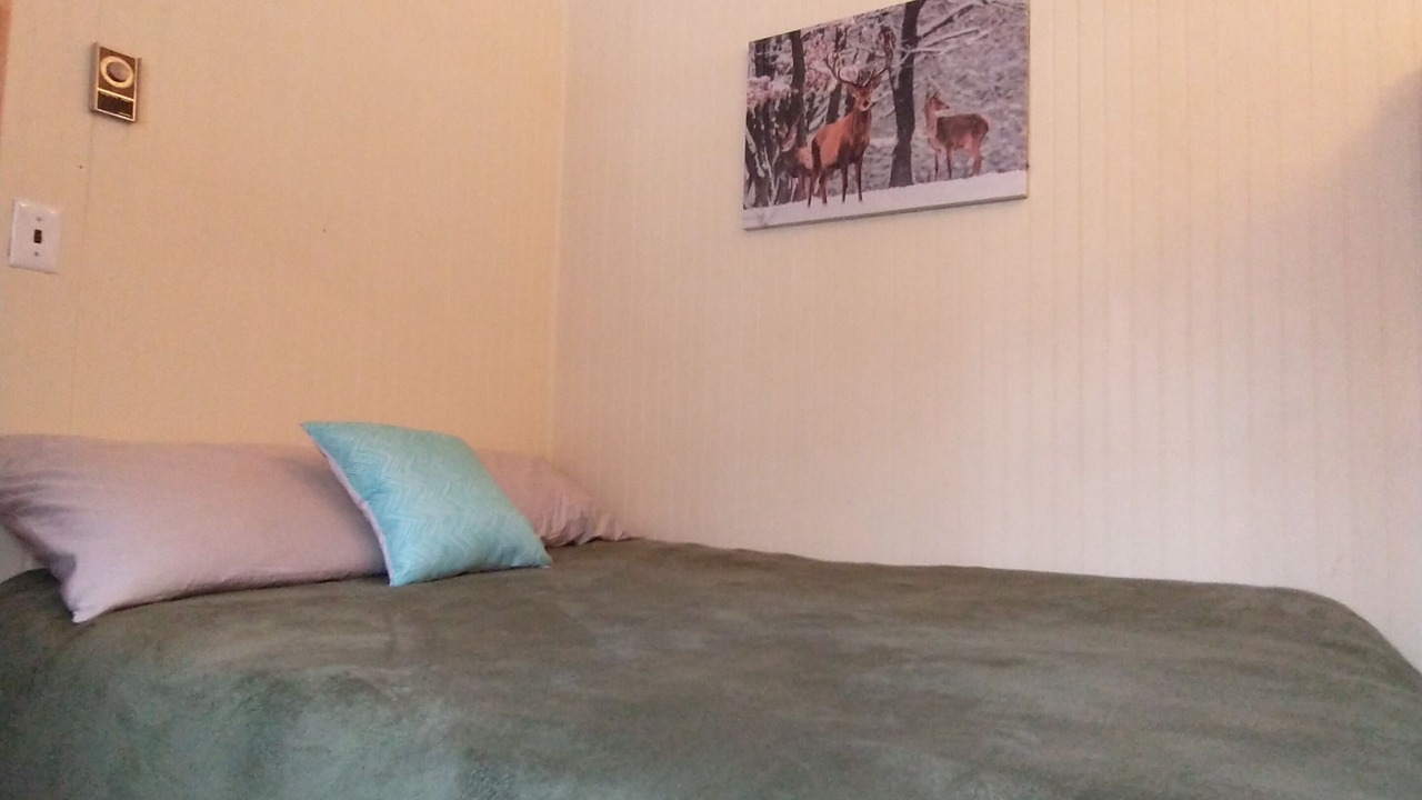 Photo of Bedroom in Minden