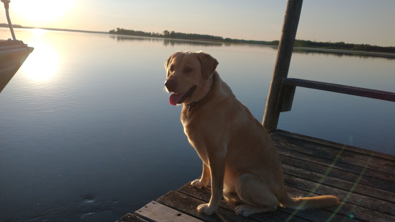 Photo of Others in Federal Dam