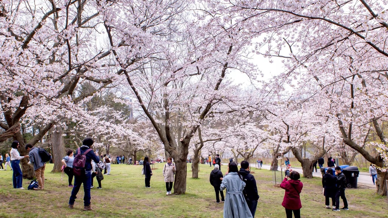 Photo of Outdoor in Bickford Park