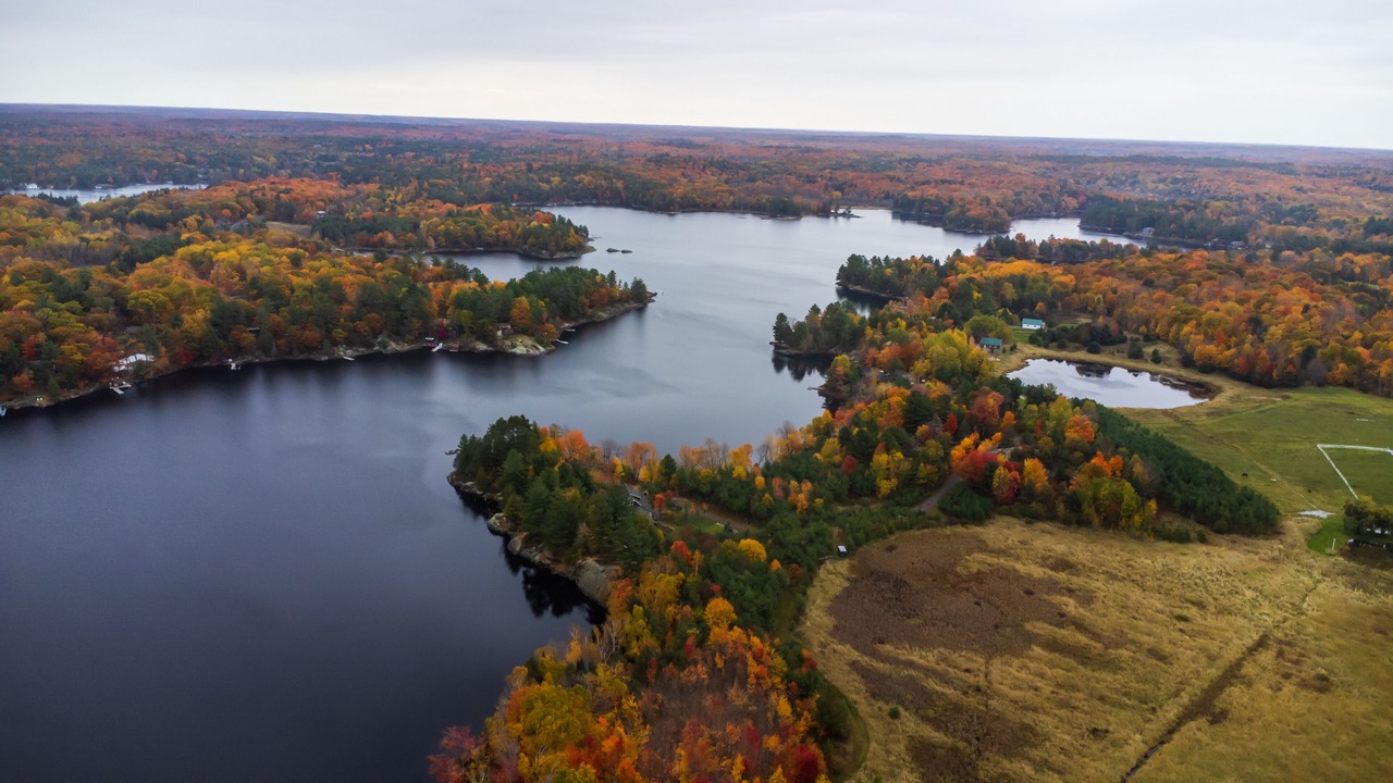 Photo of Outdoor in Muskoka Lakes