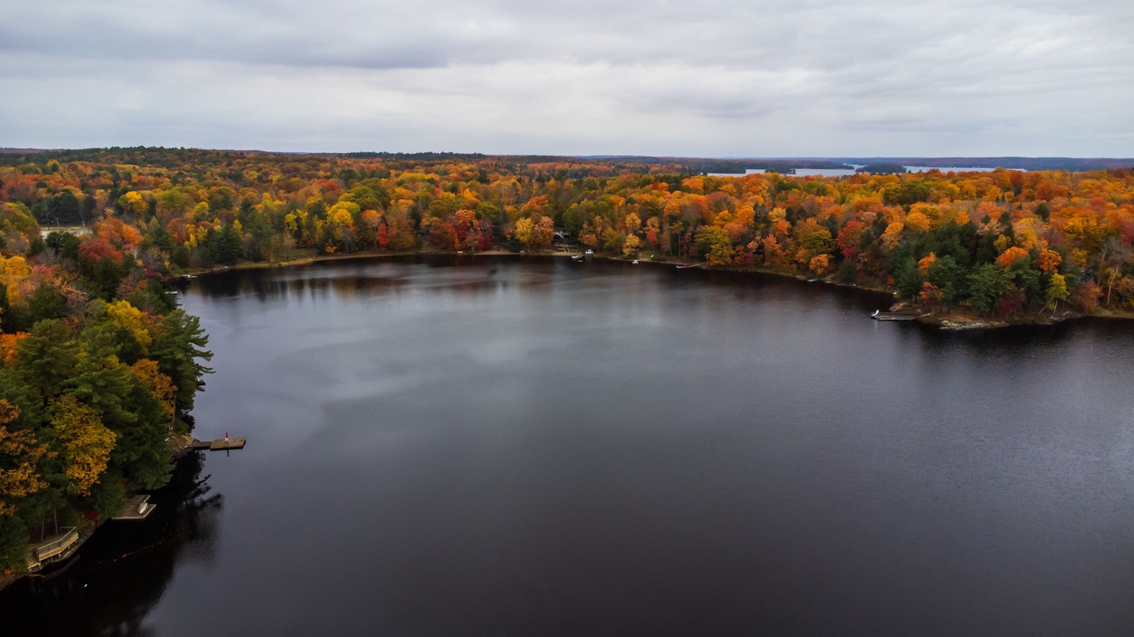 Photo of Others in Muskoka Lakes