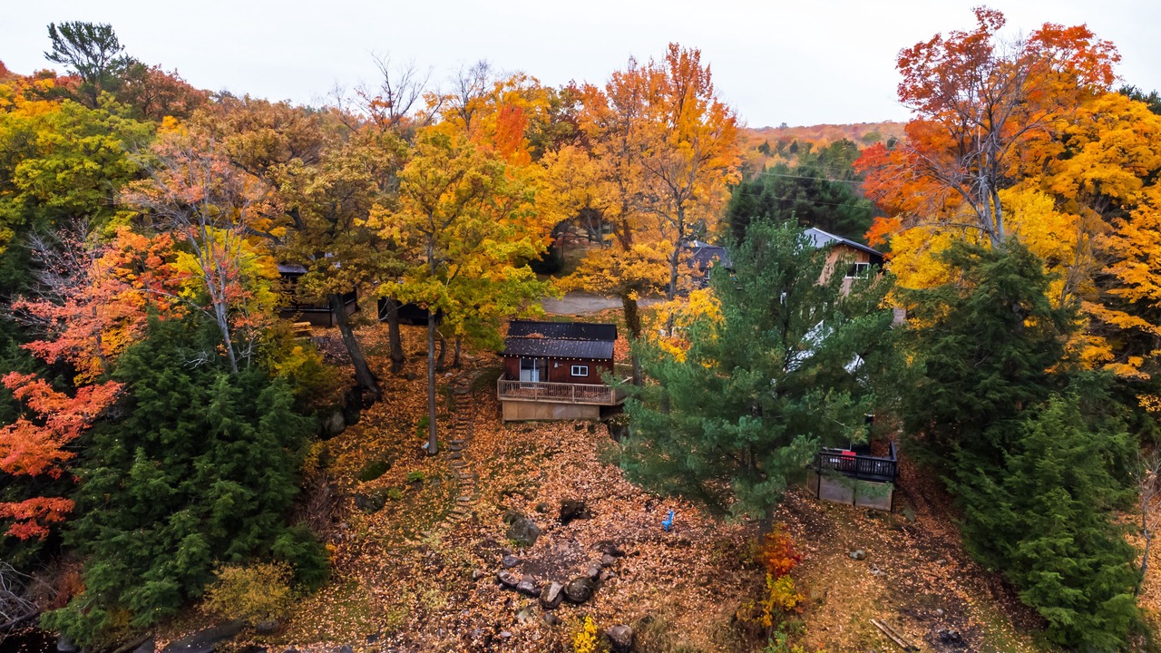 Photo of Outdoor in Muskoka Lakes