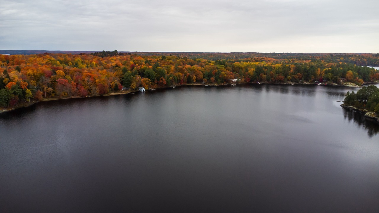 Photo of Others in Muskoka Lakes