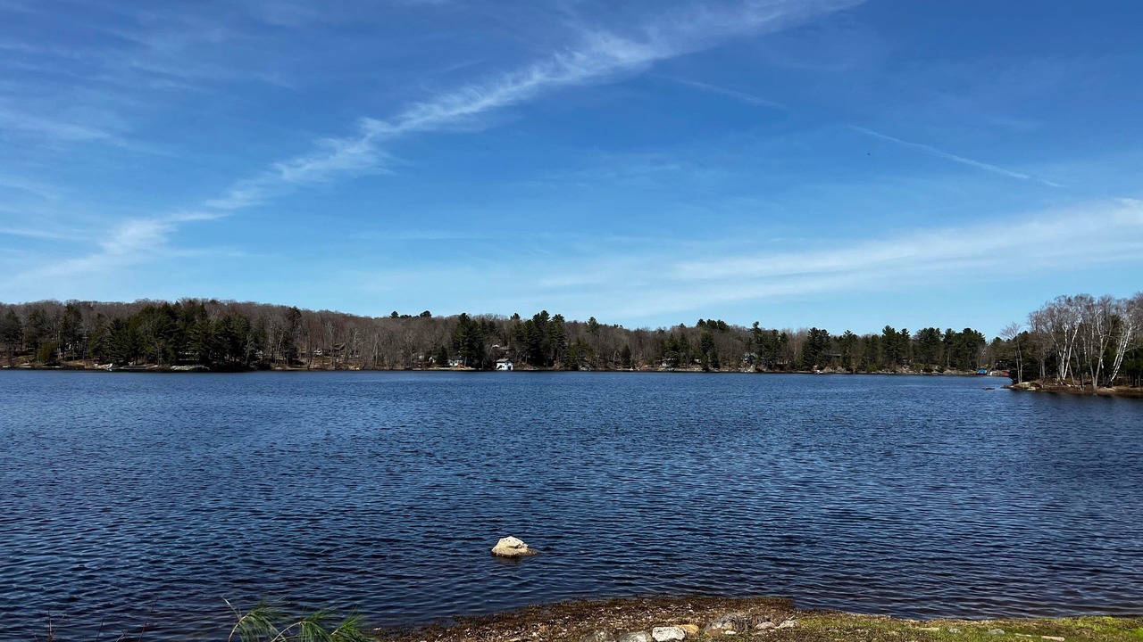 Photo of Others in Muskoka Lakes