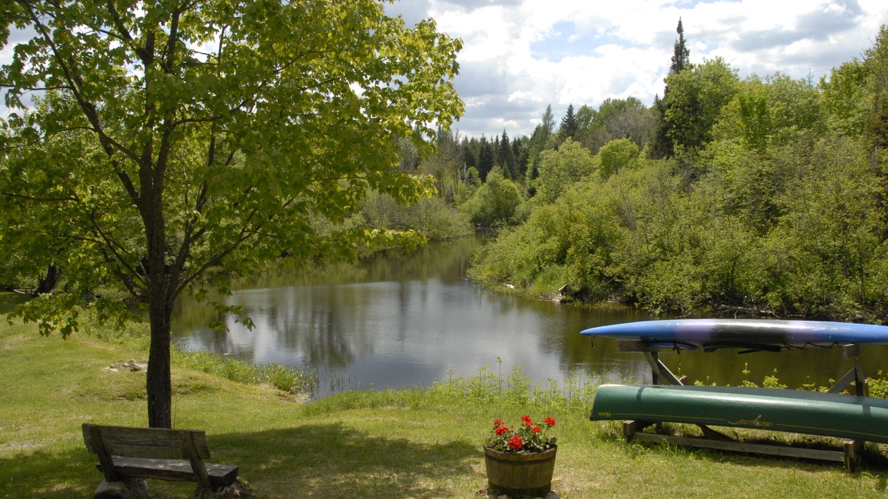 Photo of Others in Spring Creek
