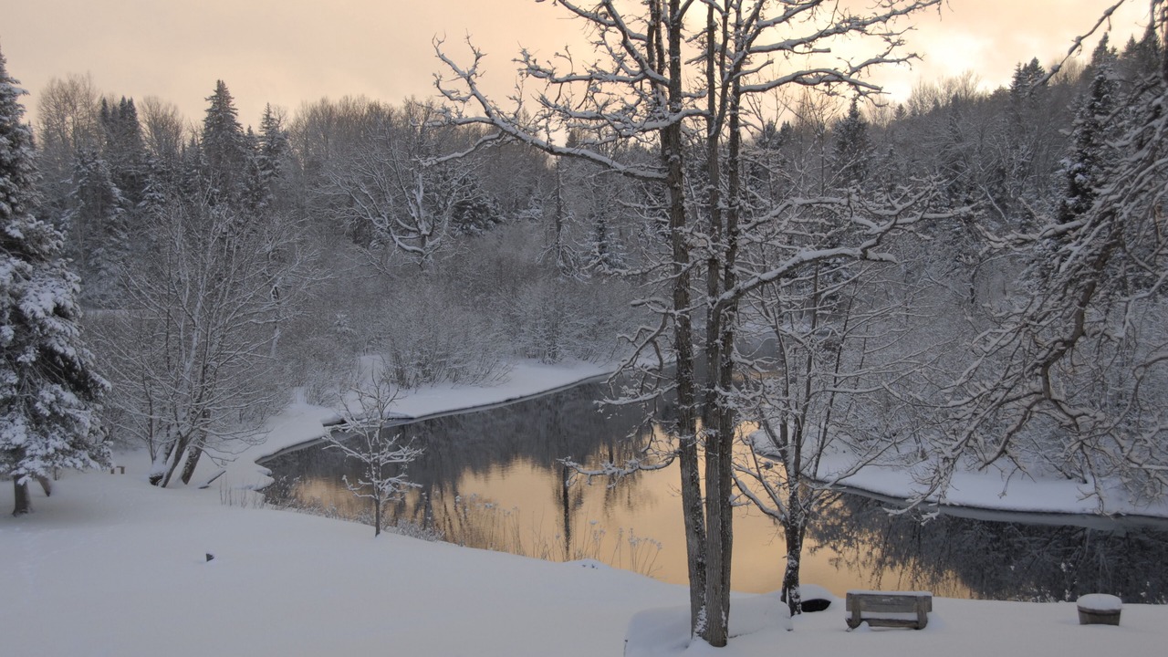 Photo of Outdoor in Spring Creek