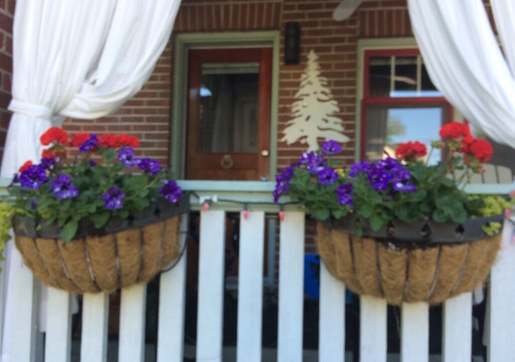 Photo of Outdoor in Peterborough
