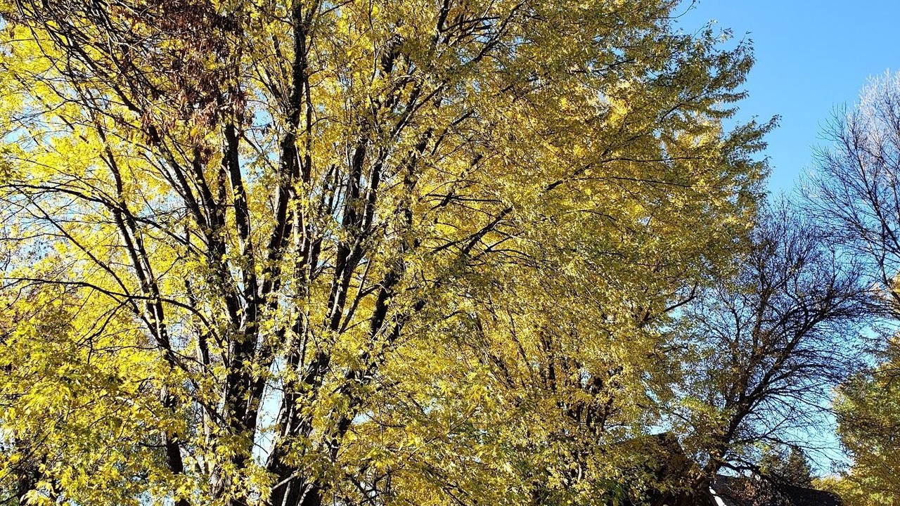 Photo of Outdoor in Spicer