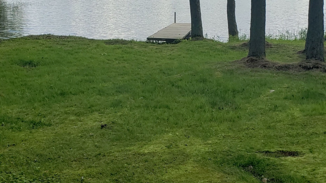 Photo of Outdoor in Central Frontenac