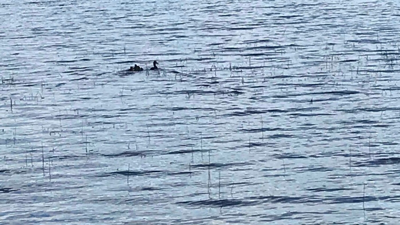 Photo of Others in Madawaska Valley